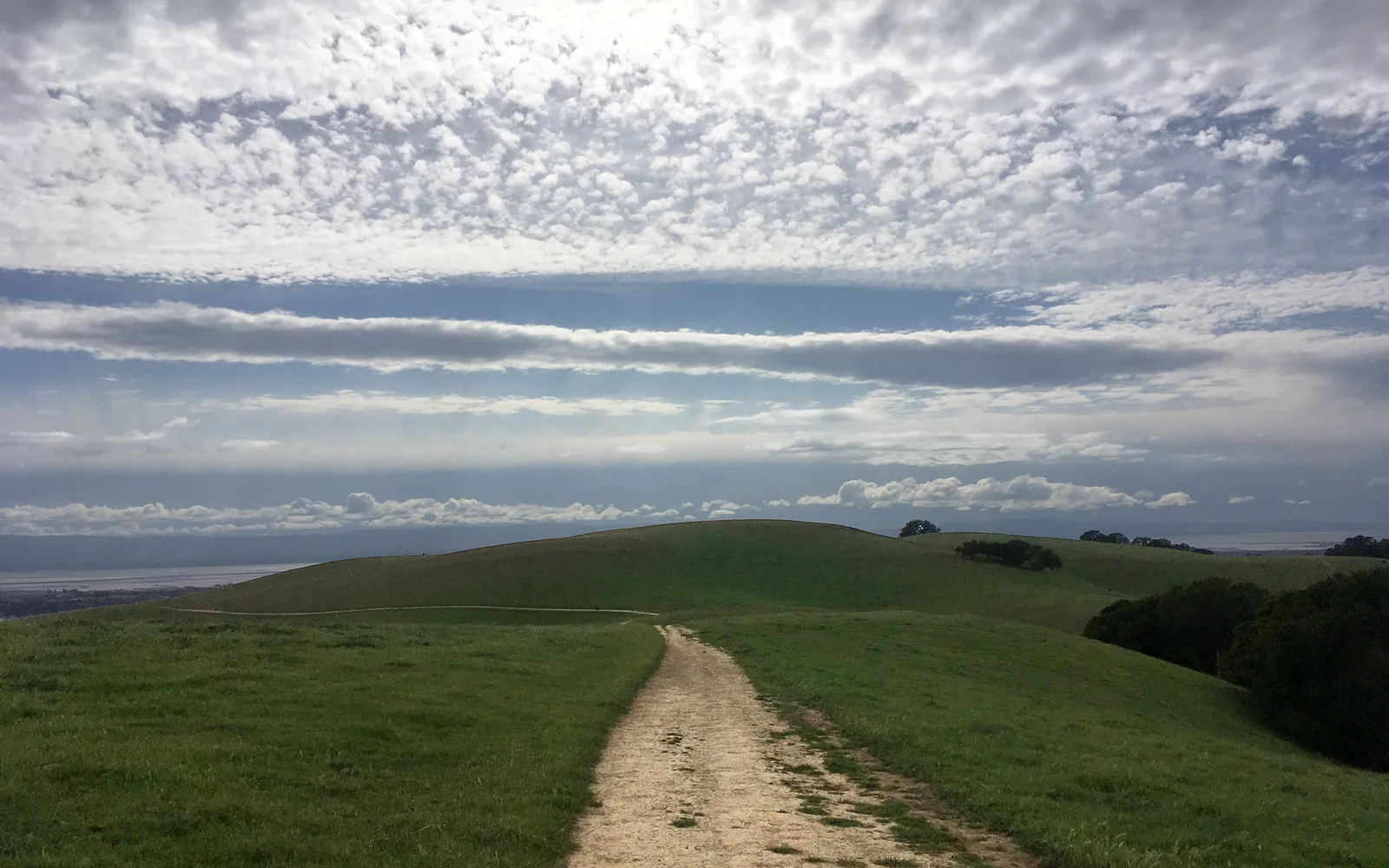 A grassy plateau trail with golden hills and rolling terrain in a California regional park
